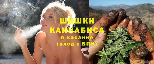 бошки Аркадак